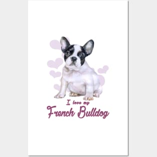 I love my French Bulldog! Especially for Frenchie owners! Posters and Art